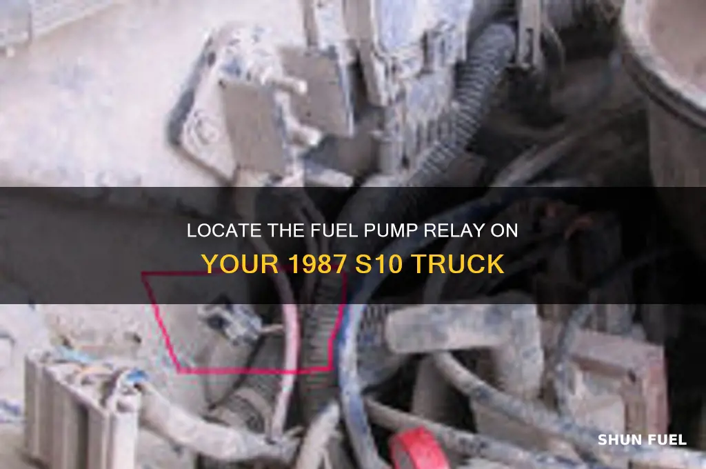where is the fuel pump relay on a 87 s10
