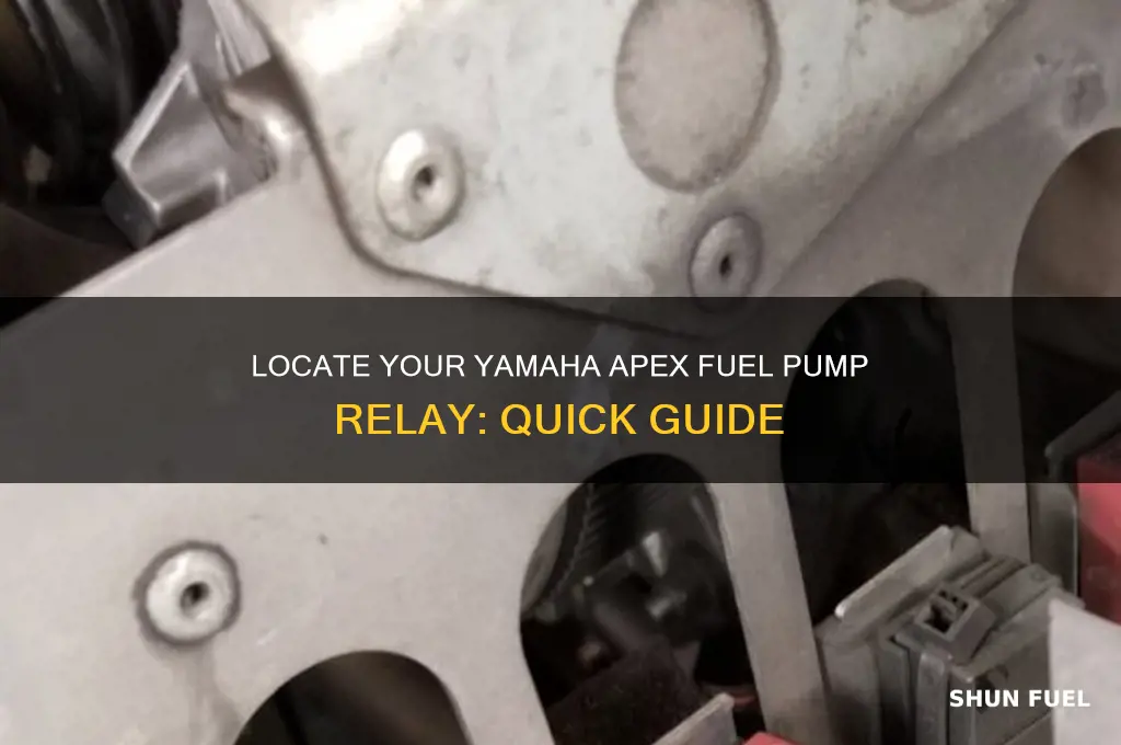 where is the fuel pump relay on a yamaha apex