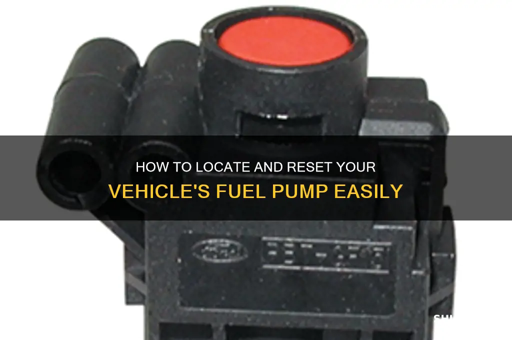 where is the fuel pump reset