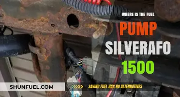 Locating the Fuel Pump in a Chevrolet Silverado 1500