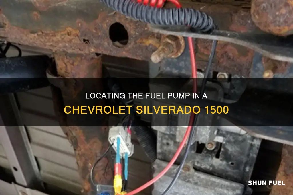 where is the fuel pump silverafo 1500