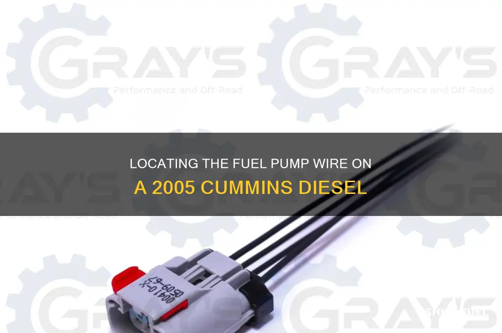 where is the fuel pump wire on 05 cummins