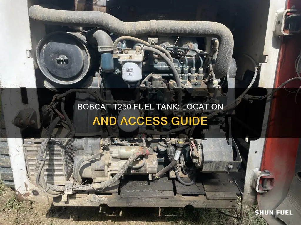where is the fuel tank in t250 bobcat steer
