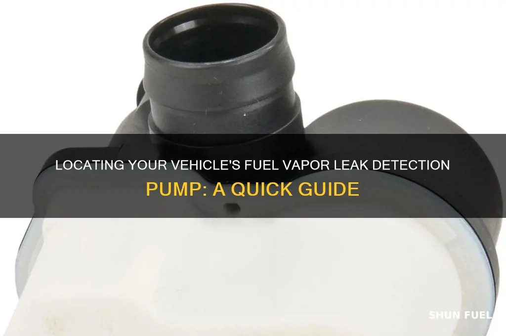 where is the fuel vapor leak detection pump