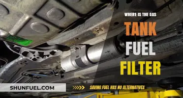 Locating Your Car's Fuel Filter and Gas Tank