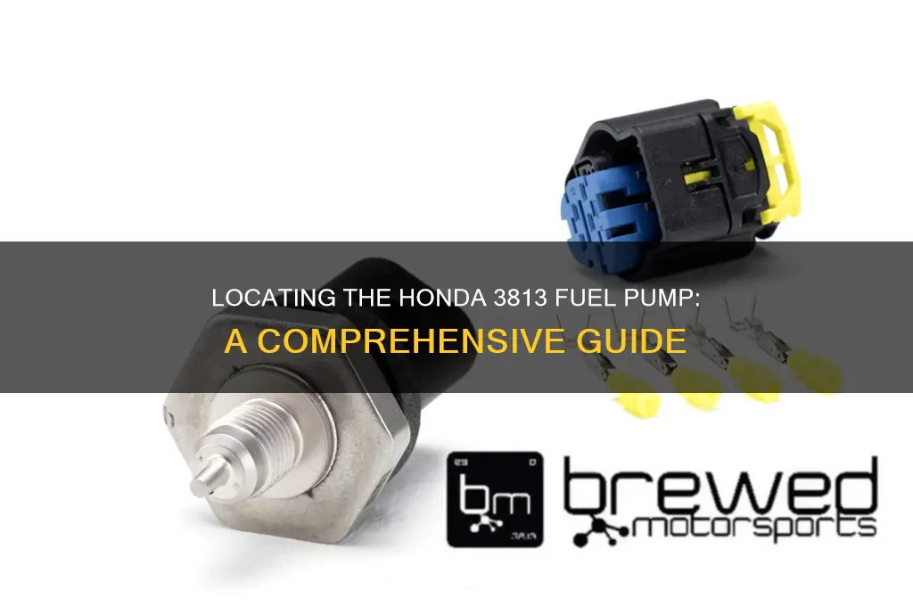where is the honda 3813 fuel pump