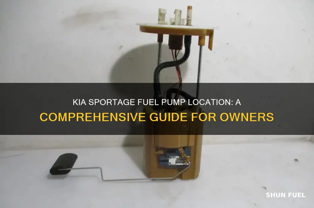 where is the kia sportage fuel pump