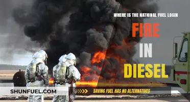 Fuel Firestorm: National Login's Diesel Debacle