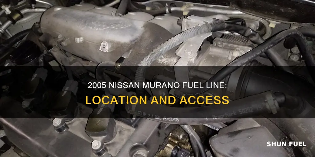 where is the nissan murano 2005 fuel line