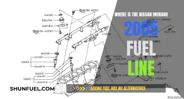 Fuel Line Maintenance: 2005 Nissan Murano
