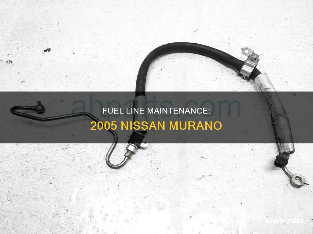 where is the nissan murano 2005 fuel line