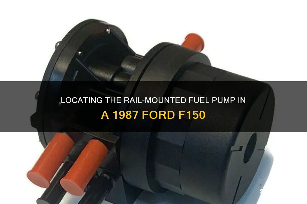 where is the rail mounted fuel pump 1987 f150