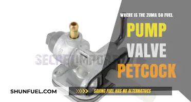 Locate Zuma 50 Fuel Pump Valve Petcock: A Comprehensive Guide