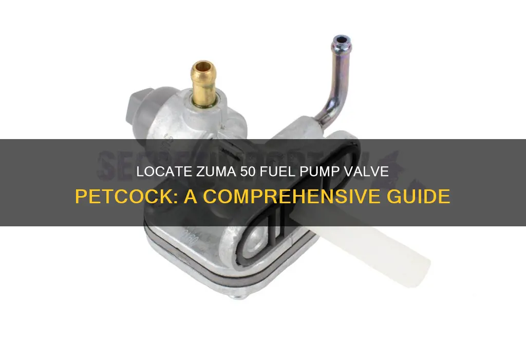 where is the zuma 50 fuel pump valve petcock