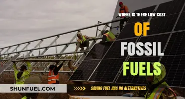 Affordable Fossil Fuels: Regions with Low Energy Costs Explored
