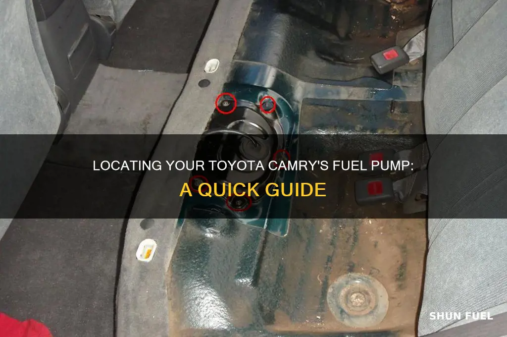 where is toyota camry fuel pump