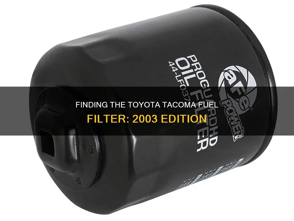 where is toyota tacoma fuel filter 2003