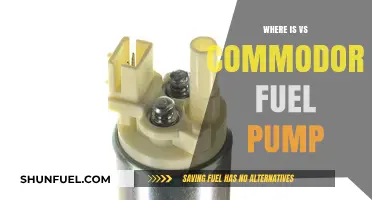 Where to Find the Fuel Pump in Your Holden VS Commodore