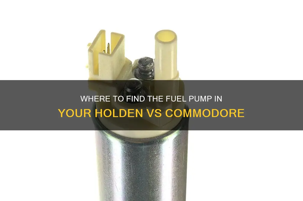 where is vs commodore fuel pump