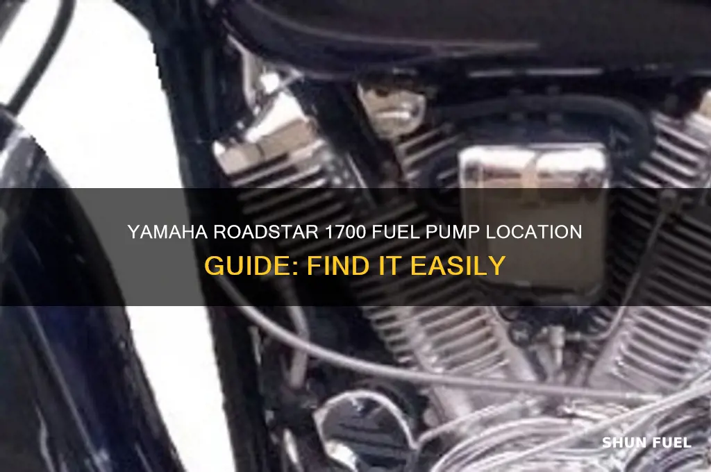 where is where 1700 yamaha roadstar fuel pump located