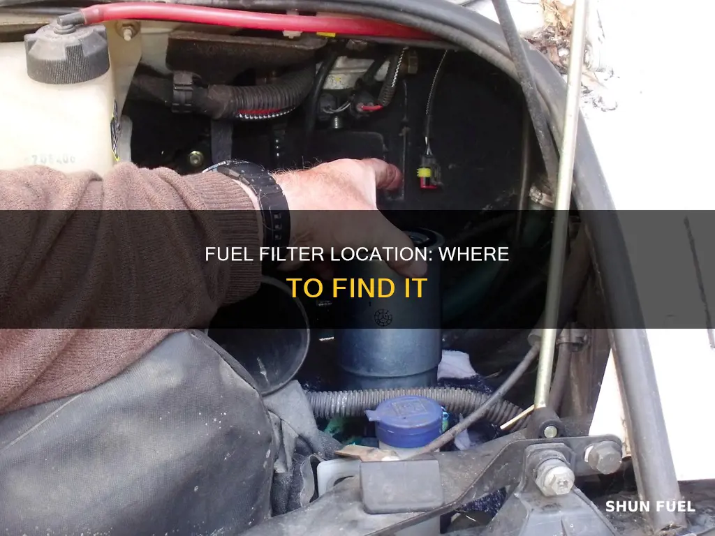 where is your fuel filter located