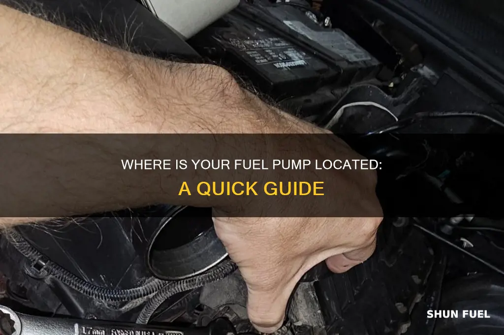 where is your fuel pump located