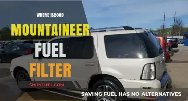 Locating the 2009 Mountaineer Fuel Filter