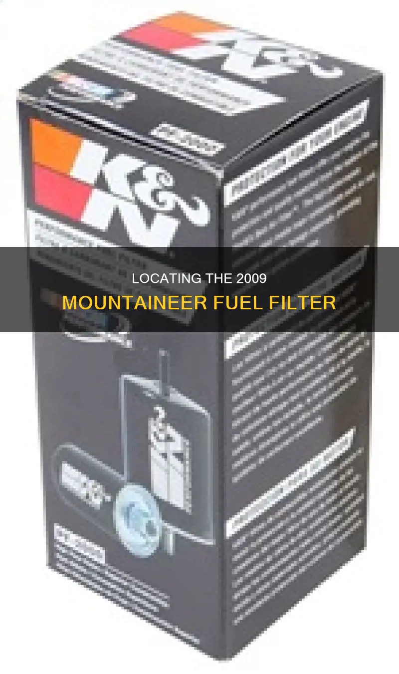 where is2009 mountaineer fuel filter