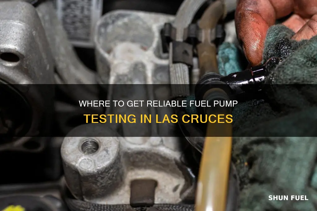 where las cruces fuel pump test