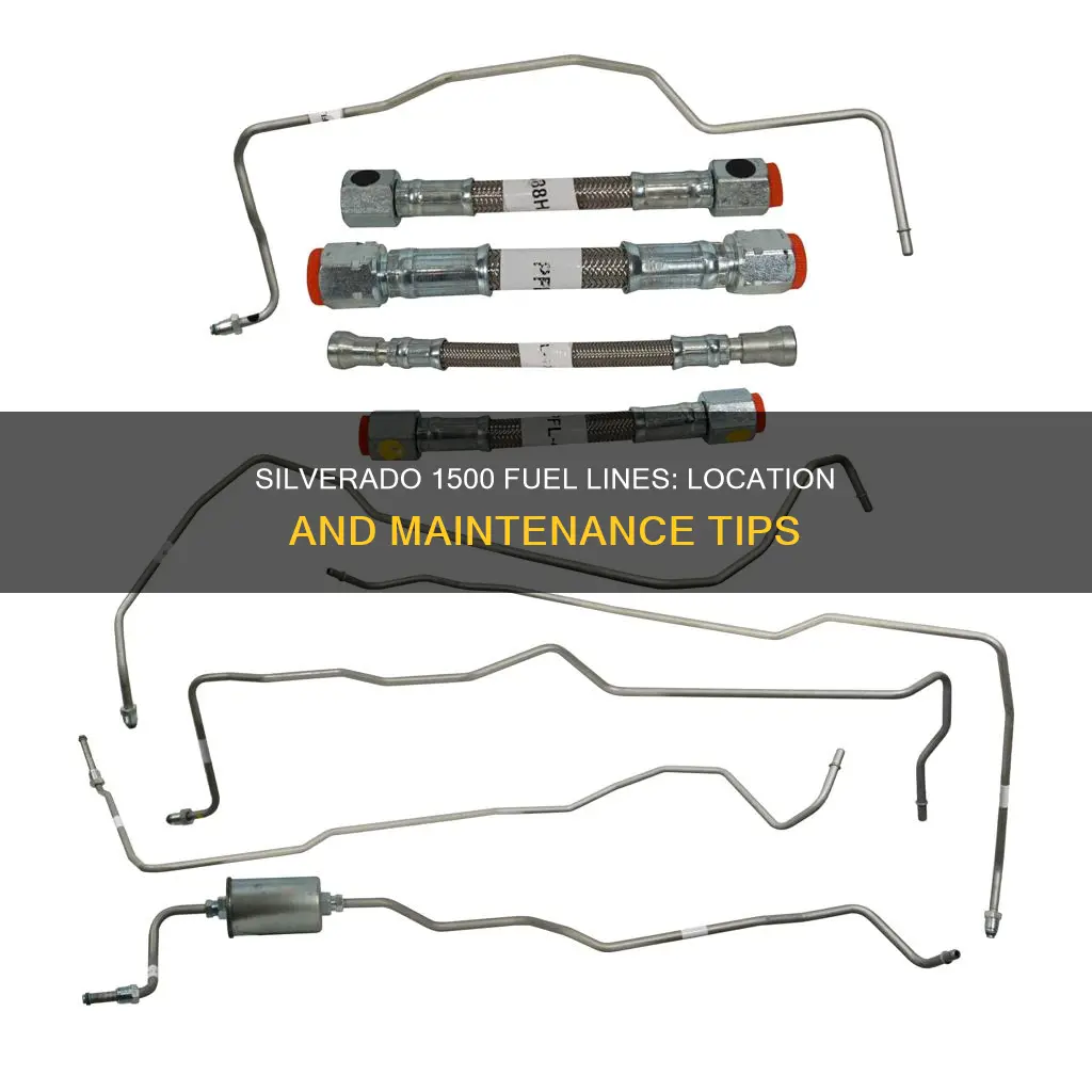 where sre fuel lines on 06 silverado 1500