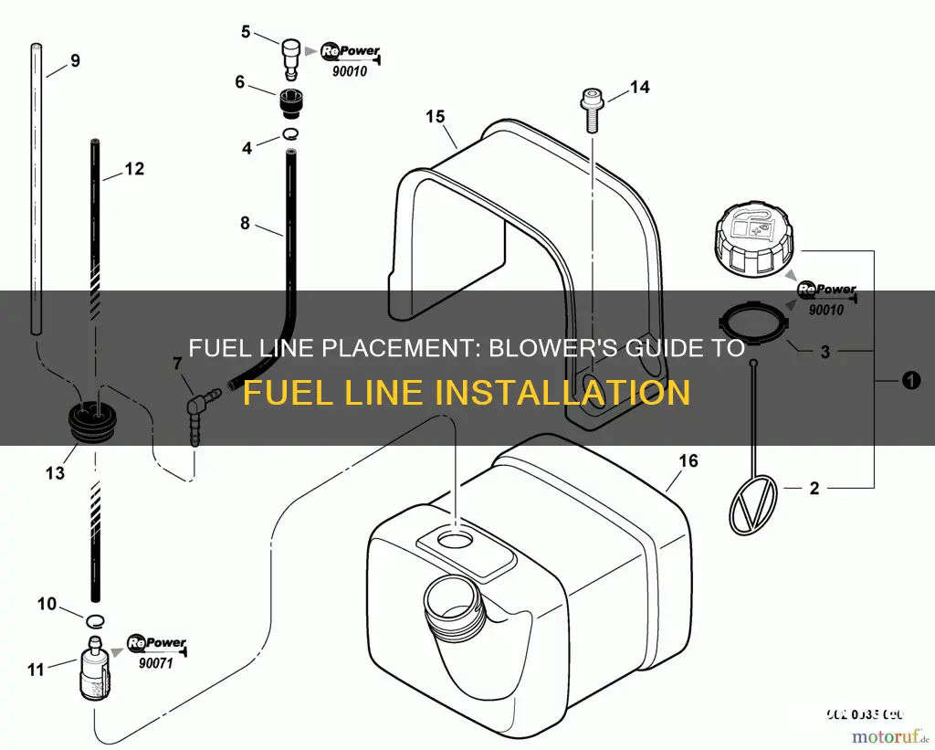 where the fuel lines go on a blower