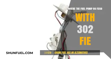 Fuel Pump Location Guide: 1986 Ford F250 302 Engine