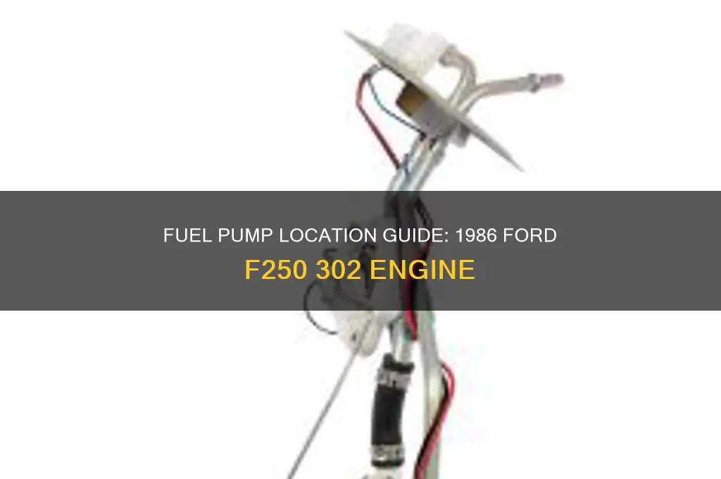 where the fuel pump 86 f250 with 302 fie