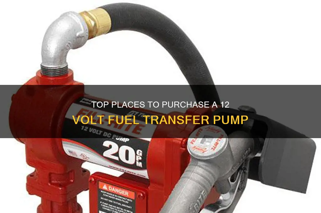 where to buy a fuel transfer pump 12 volt