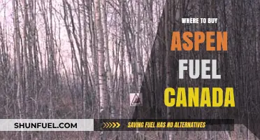Where to Buy Aspen Fuel in Canada: Top Retailers and Online Options