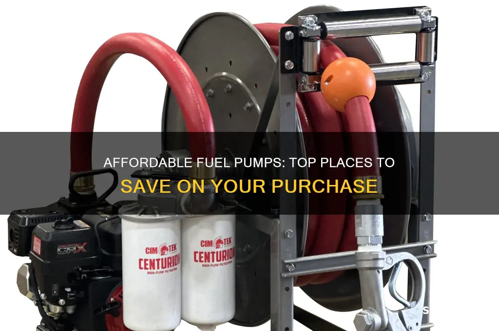 where to buy cheap fuel pumps