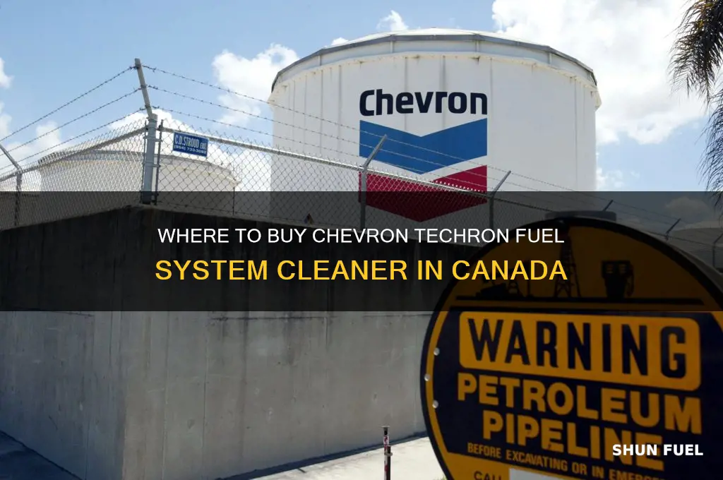 where to buy chevron techron fuel system cleaner in canada