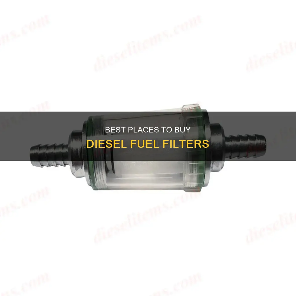 where to buy diesel fuel filter