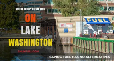 Best Places to Buy Diesel Fuel on Lake Washington