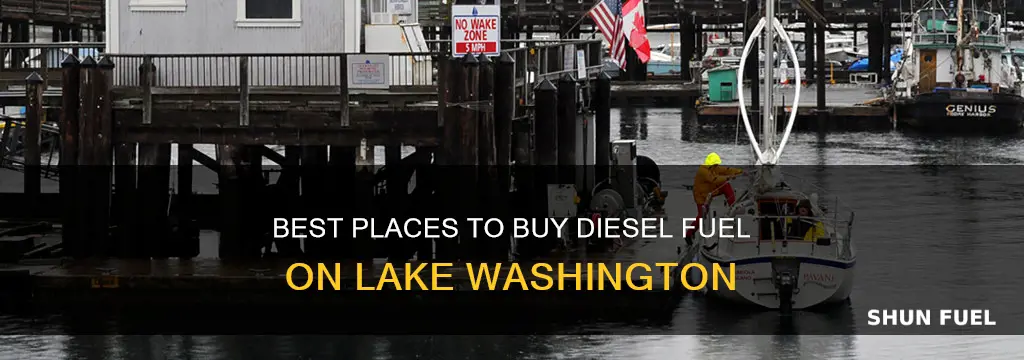 where to buy diesel fuel on lake washington