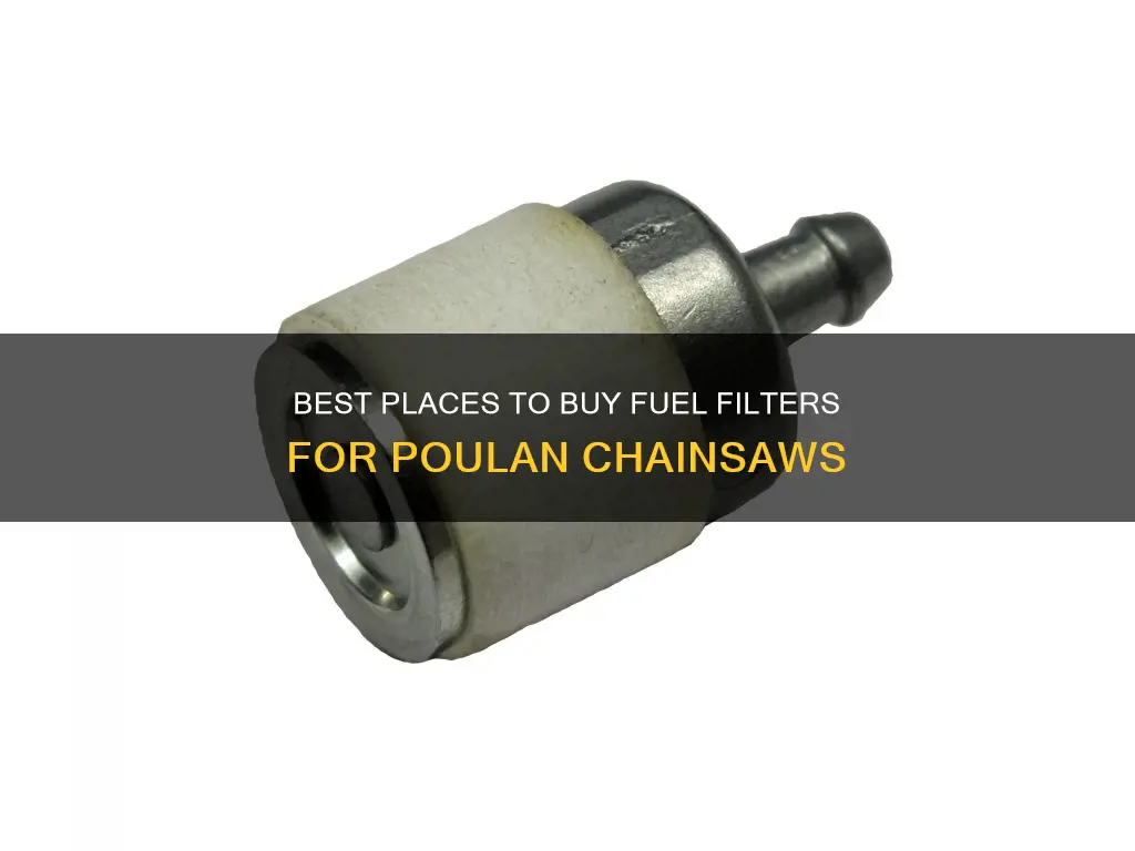 where to buy fuel filter for poulan chainsaw