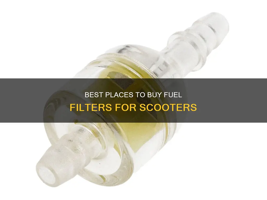 where to buy fuel filter for scooter