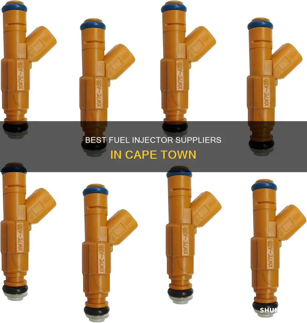 where to buy fuel injectors in cape town