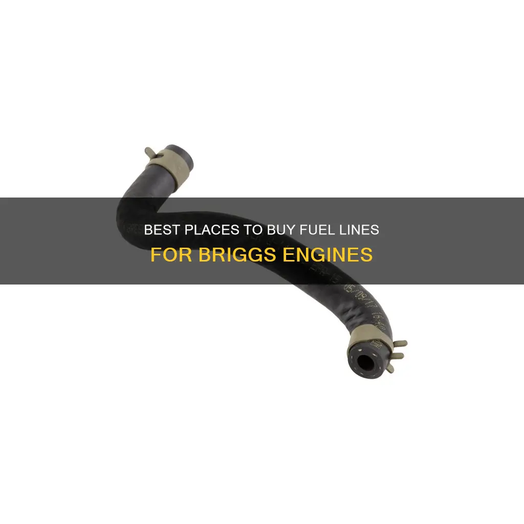 where to buy fuel line for briggs and stratton engine