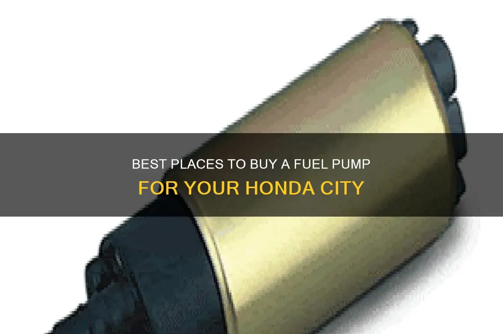 where to buy fuel pump honda city