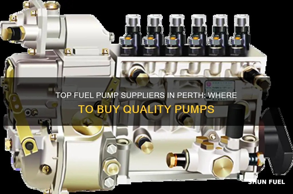 where to buy fuel pump in perth