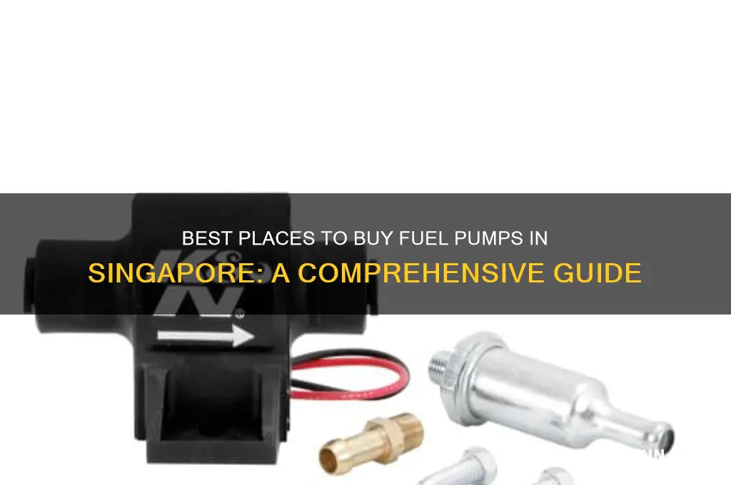 where to buy fuel pump in singapore