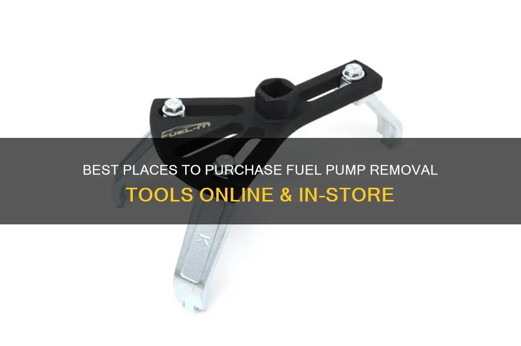 where to buy fuel pump removal tool