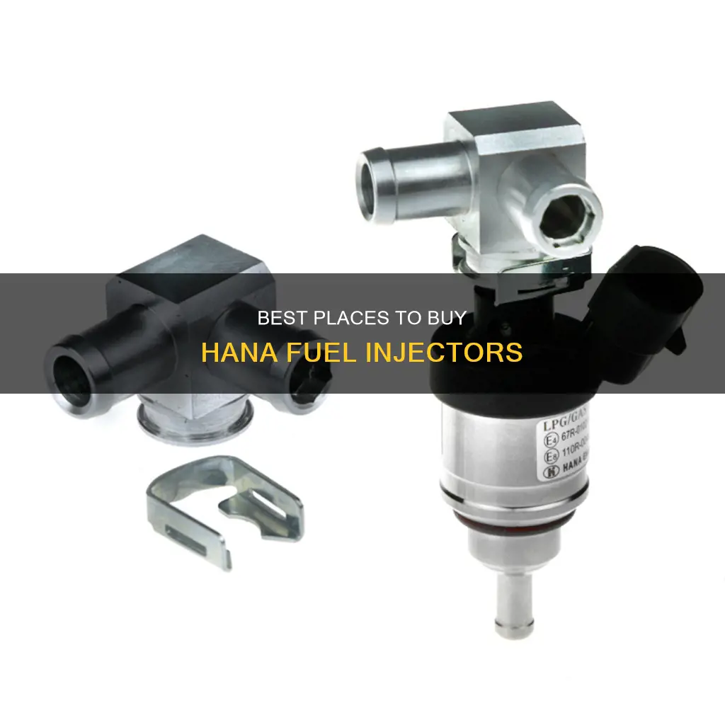 where to buy hana fuel injectors