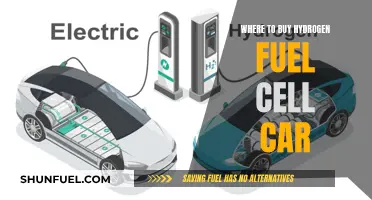 Hydrogen Fuel Cell Cars: Where to Buy?